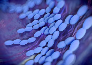 3D görüntüleme - asetobacter bakteri