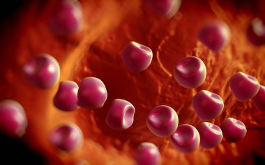 Aconite anter ve polen - 3D görüntüleme