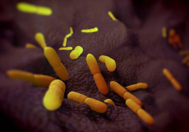 Yersinia pestis bakterisi, sanat eseri