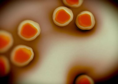 süperböcek veya Staphylococcus aureus (MRSA) bakterisi