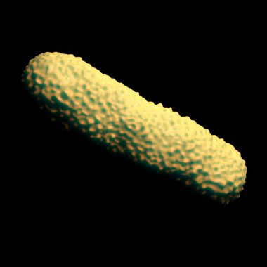 Bakteri hücrelerinin gösterimi