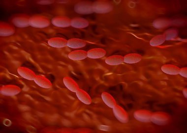 3D görüntüleme - asetobacter bakteri