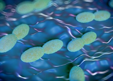 3D görüntüleme - asetobacter bakteri