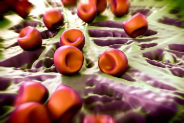 Aconite anter ve polen, bir akonit (Aconitum) çiçeğinden gelen polen tanecikleri. 