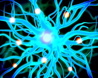 sinir hücreleri ve sinir sistemi kavramı.