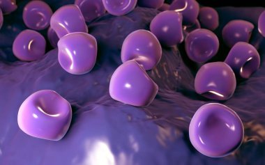  Bilinen Anter ve polen