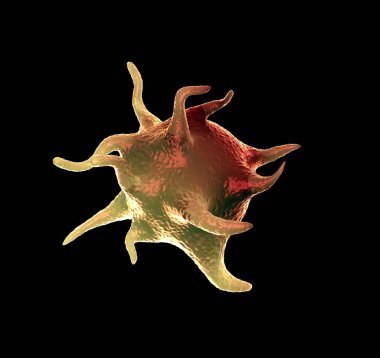 3D görüntüleme - etkinleştirilmiş trombositler