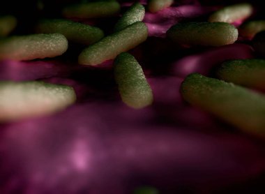 Bakteri hücrelerinin gösterimi