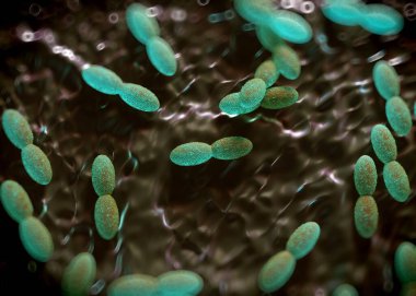 3D görüntüleme - asetobacter bakteri