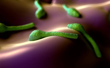 3D illüstrasyon - Clostridium Tetani Bakterisi