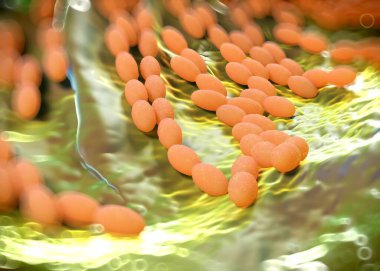 3D görüntüleme - asetobacter bakteri