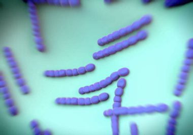 Streptococcus pneumoniae, bakteri sanat