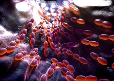 3D görüntüleme - asetobacter bakteri