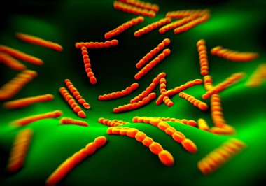 Streptococcus pneumoniae, bakteri sanat