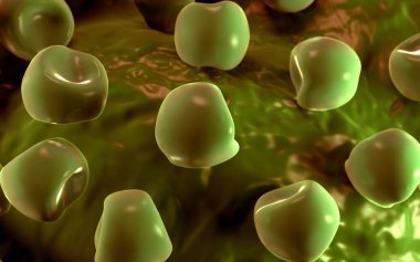  Bilinen Anter ve polen