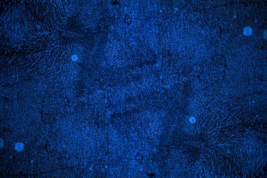 Mavi Yüzey Doku Arka Tasarımı