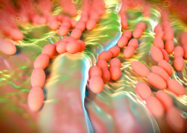 3D görüntüleme - asetobacter bakteri