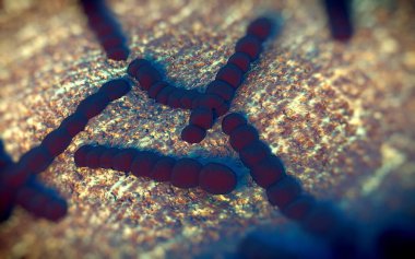 Streptococcus pneumoniae, Gram-pozitif koküs şekilli patojenik bakteridir ve zatürreye ek olarak pnömokok enfeksiyonlarına neden olur. .