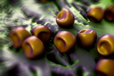 Aconite anter ve polen, bir akonit (Aconitum) çiçeğinden gelen polen tanecikleri. 