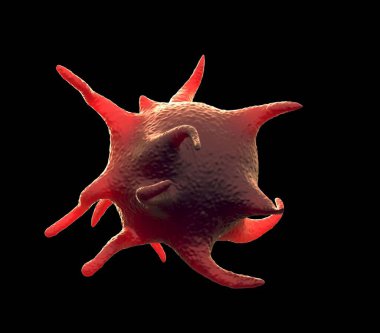 3D görüntüleme - etkinleştirilmiş trombositler