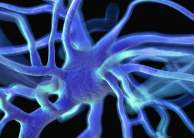 Sinir sisteminin bir kısmını oluşturan nöron veya sinir hücreleri elektriksel ve kimyasal sinyallerle bilgi iletir ve işler..