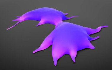 3d görüntüleme - dendritik hücre 