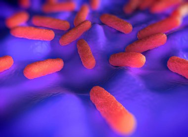 Salmonella typhimurium bakterisine yakın çekim