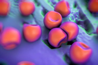 Aconite anter ve polen, bir akonit (Aconitum) çiçeğinden gelen polen tanecikleri. 