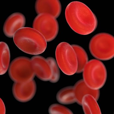 Mikroskobik fotoğrafların kırmızı kan hücreleri çizimi