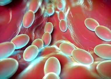 3D görüntüleme - asetobacter bakteri