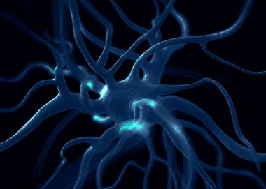 Sinir sisteminin bir kısmını oluşturan nöron veya sinir hücreleri elektriksel ve kimyasal sinyallerle bilgi iletir ve işler..