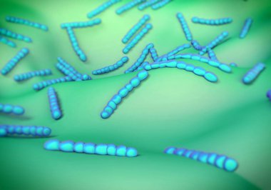 Streptococcus pneumoniae, bakteri sanat