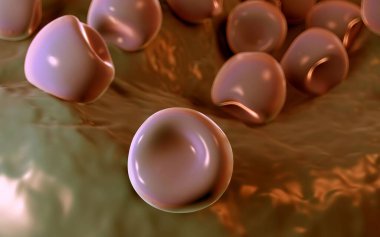  Bilinen Anter ve polen