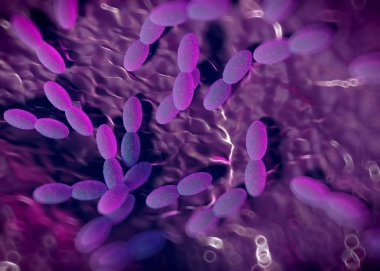 3D görüntüleme - asetobacter bakteri