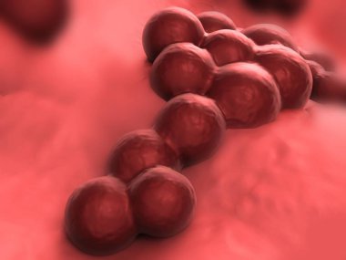 süperböcek veya Staphylococcus aureus (MRSA) bakterisi