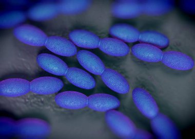 3D görüntüleme - asetobacter bakteri