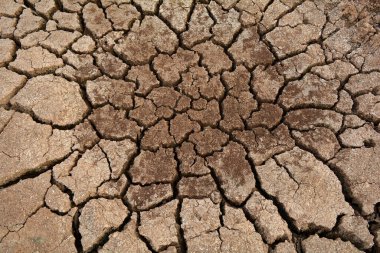 Kuru toprakta çatlaklar