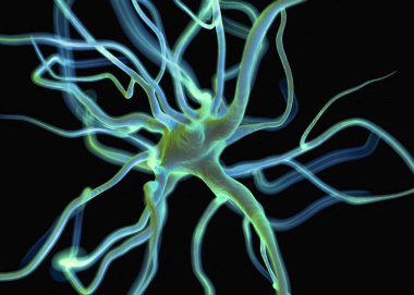 3d Hazırlama - Etkin sinir hücreleri