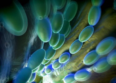 3D görüntüleme - asetobacter bakteri