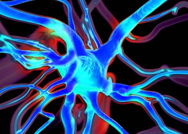 Sinir sisteminin bir kısmını oluşturan nöron veya sinir hücreleri elektriksel ve kimyasal sinyallerle bilgi iletir ve işler..