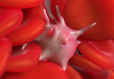 Kırmızı kan hücreleri, aktif trombosit ve beyaz kan hücreleri mikroskobik fotoğraflar.