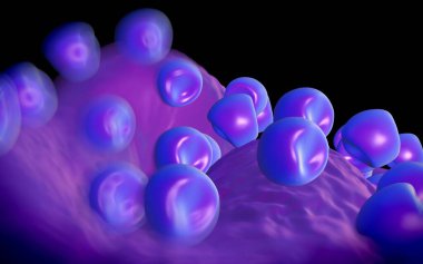 Aconite anter ve polen - 3D görüntüleme