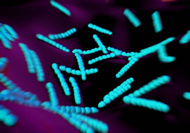 Streptococcus pneumoniae, bakteri sanat