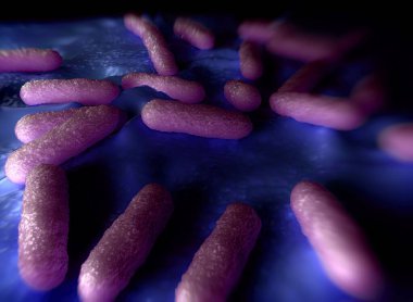 Bakteri hücrelerinin gösterimi