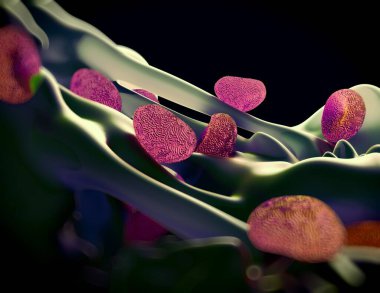 3D işleme - yosun sporları