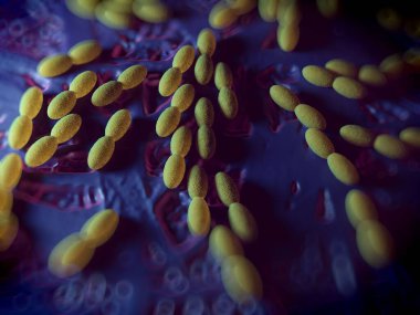 3D görüntüleme - asetobacter bakteri