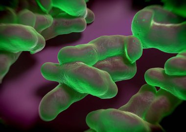 3D görüntüleme - campylobacter jejuni bakterisi