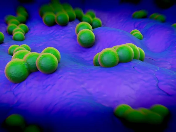 Superbugg Eller Staphylococcus Aureus Bakterier Mrsa — Stockfoto