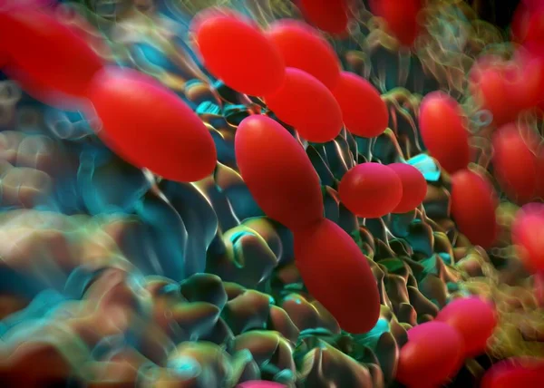 3D görüntüleme - asetobacter bakteri