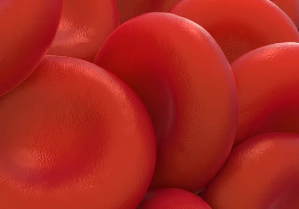 closeup of red blood cells